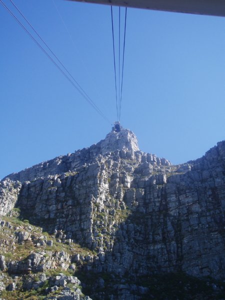 KeHa_in_South_Africa - 229